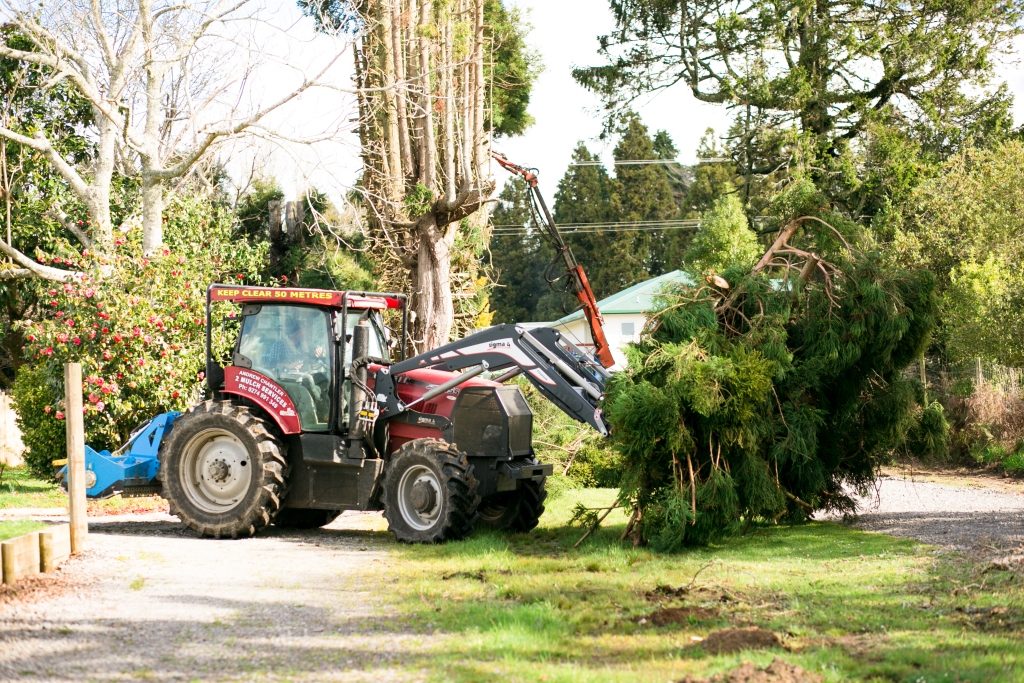 clearing branches