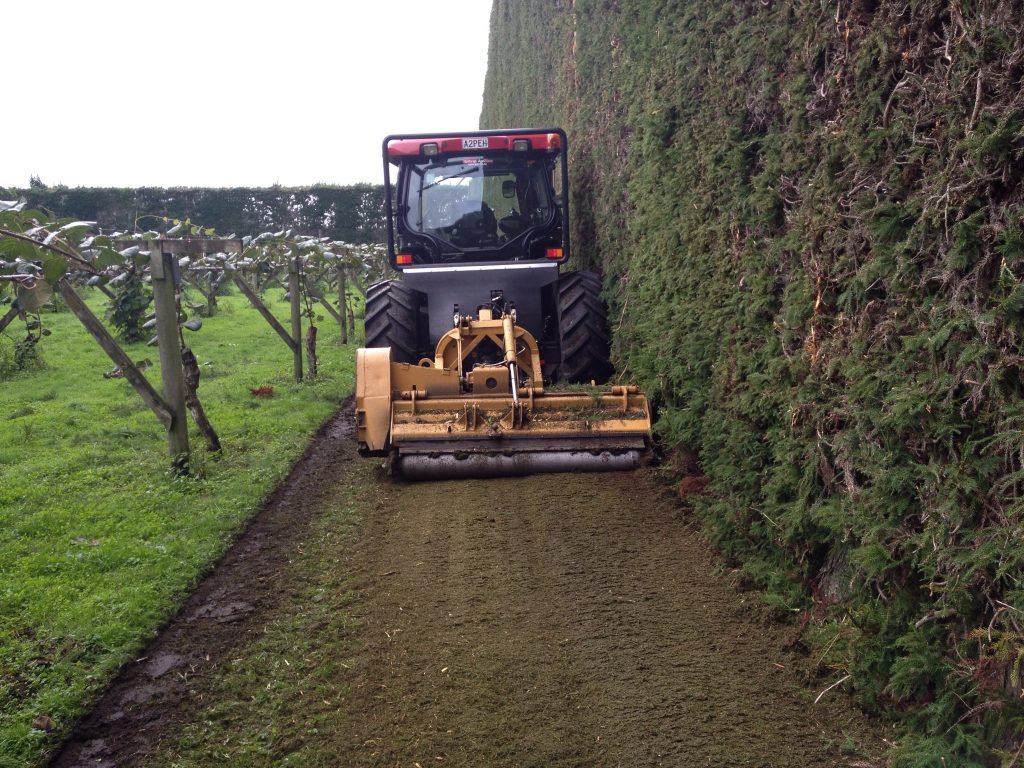 Case Tractor clearing shelter belt